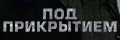 Под прикрытием (Корея)