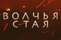 Волчья стая